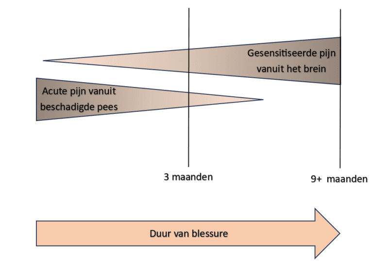 Acute en chronische pijn